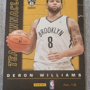 2013-14 Panini Pinnacle Team Pinnacle Rubio and Williams