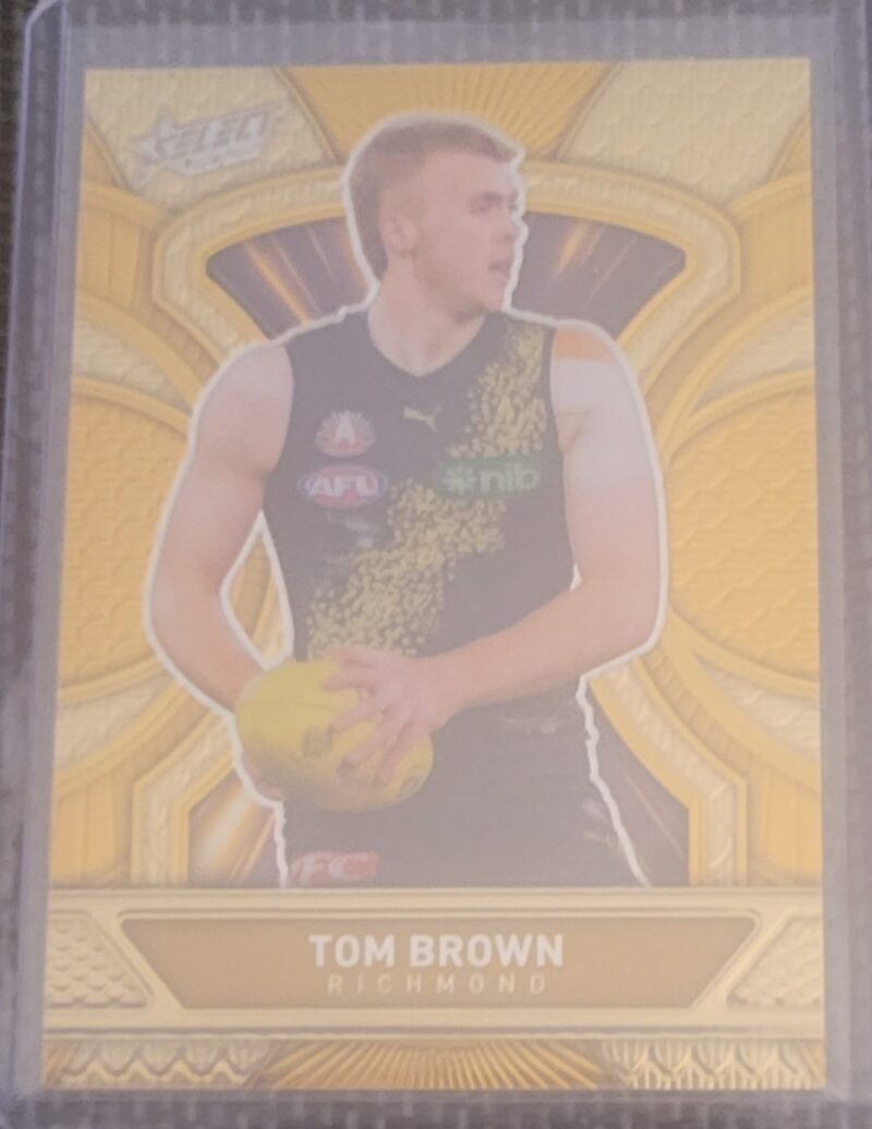 2025 Select Footy Stars Luminous Dragon Scales Gold Tim Brown